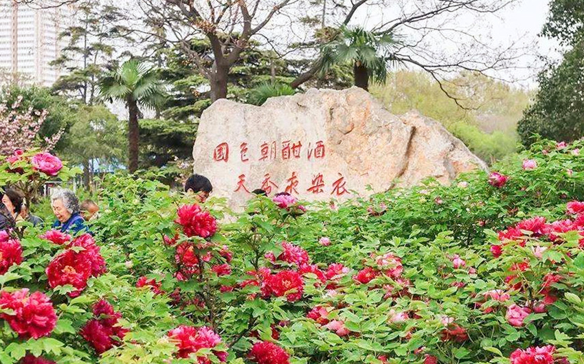 1554272942660491.jpg timg (3).jpg